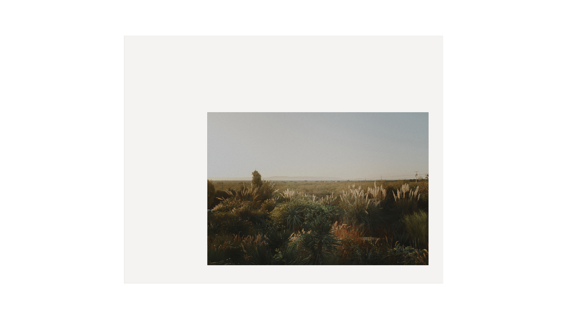 Photography — @maxime_tetard — Les Graphiquants 62